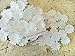 NAVA CHIANGMAI 100 White Mulberry Daisy Paper Flowers Scrapbooking Embellishment