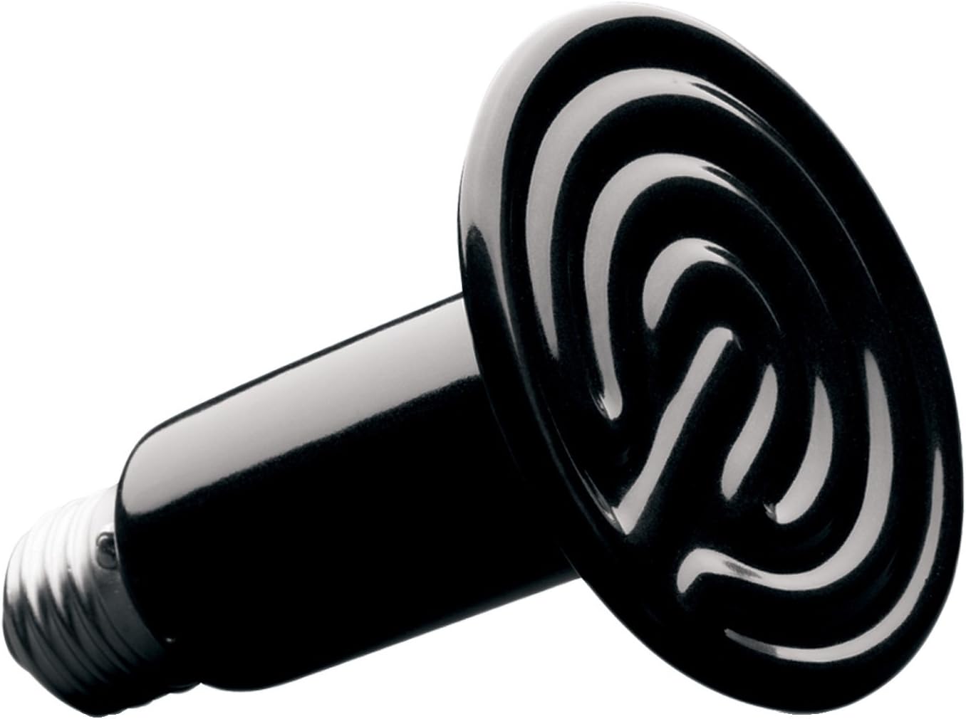 my dog has rough paw pads