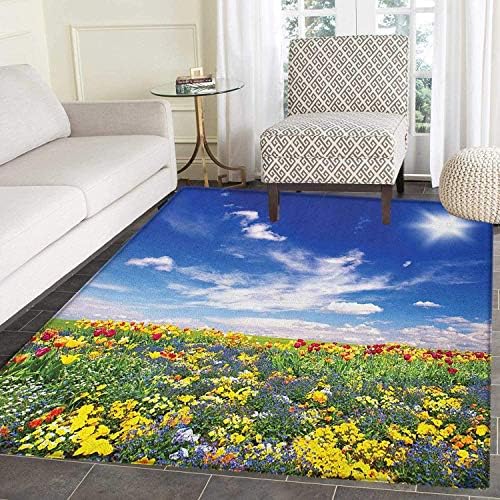 Flower Area Rug Carpet Flowers Meadow and Cloudy Sky Nature Landscape Print Vivid Sun Springtime Artistic Customize Door mats for Home Mat 3'x5' Multicolor