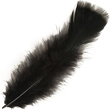 50 Plumes De Deco Bricolage Plume Douce Carnaval Rio Noir Environ 10 Cm Plumules Bricolage Parures Accessoires Samba Danse Amazon Fr Jeux Et Jouets