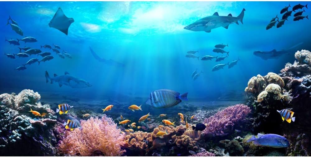 15'x10'FT Vinyl Underwater World Photography Backdrop Summer Holiday Party Birthday Party Background Shark Colorful Coral Reef Fish Under The Sea Kids Newborn Family Photo Studio Props