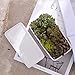 White Ceramic Rectangular Flower Pot,6.5 inch Modern Minimalist White Ceramic Succulent Planter Pot/Container with Ceramic Tray