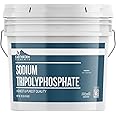 Earthborn Elements Sodium Tripolyphosphate, 1 Gallon Bucket, Cleaning Agent, Water Softener, Laundry Additive, Resealable Bucket