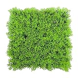Artificial Plant - TOOGOO(R) Artificial Fake Water Aquatic Green Grass Plant Lawn Aquarium Landscape