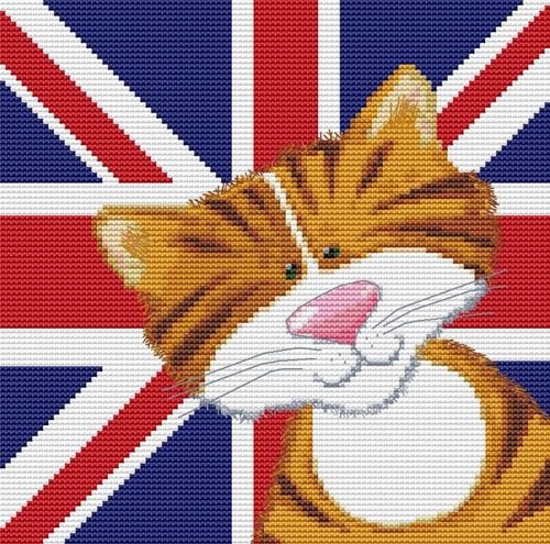 Harry Friends Ginger Cat Cross Stitch Kit