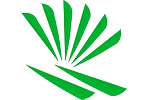 Letszhu Arrows Vanes 4 Inch Plastic Feather Fletching for DIY Archery Arrows 50 Pack…