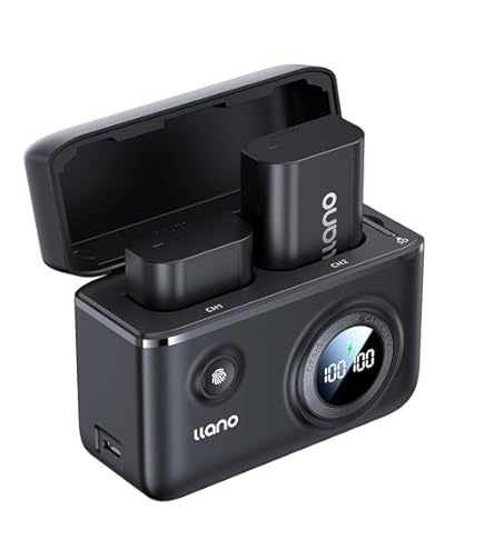 Amazon.com : Micro USB Battery Charger for Panasonic Lumix DC-GH5S