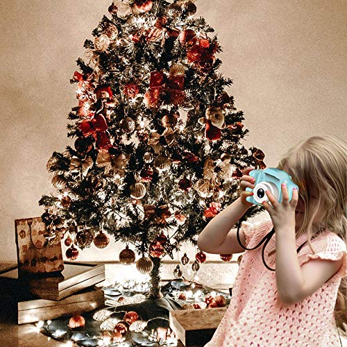 1 Festnight+Childrens+Student+Digital+Birthday