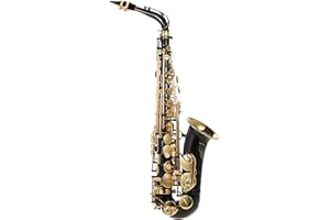 Btuty Eb Alto Saxophone Brass Lacquered Gold E Flat Sax 82Z Key Type Woodwind Instrument with Cleaning Brush Cloth Gloves Strap Padded Case