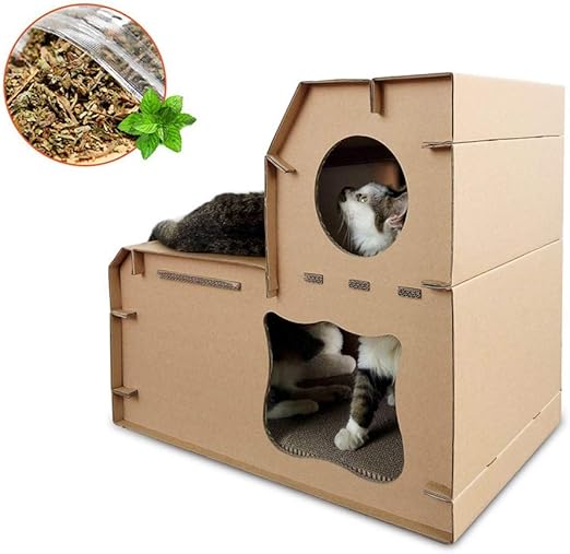 accesorios gatos amazon