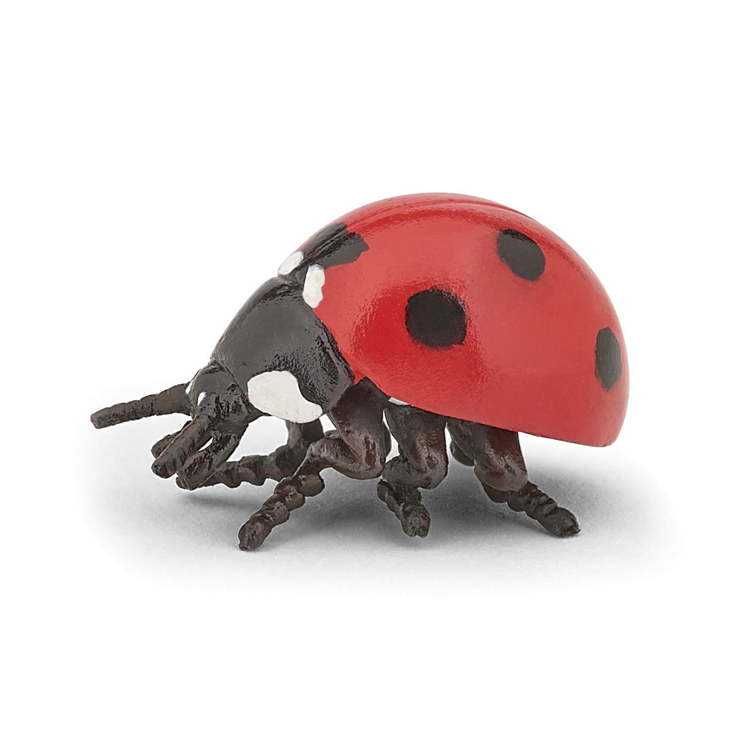 Papo - Figurine animal - Coccinelle, porte chance, Children's toy from 3 years - Insect Discovery, Ladybird