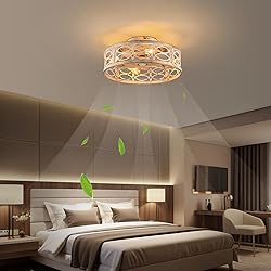 HUEOCZW 20" Caged Ceiling Fan with Light and