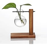 Kingbuy Glass Planter Bulb Vase Desktop Plant Terrarium with Retro Solid Wooden Stand for Propagation Hydroponics Water Plants Home Garden Office Decor