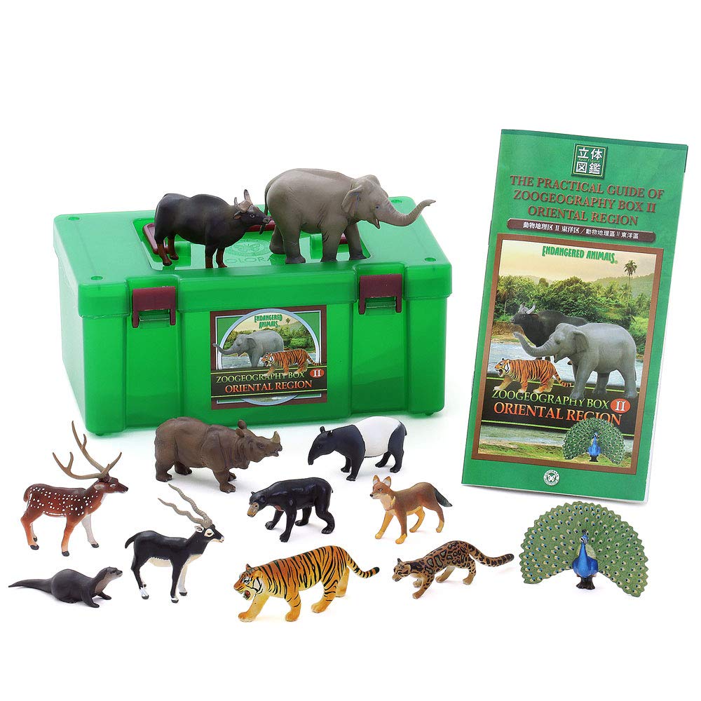 Colorata Endangered Animals Zoogeography Box Oriental Region Real
