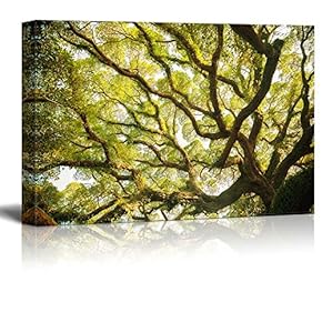 Canvas Prints Wall Art - Ancient Banyan Tree Nature Beauty | Modern Wall Decor/Home Decoration Stretched Gallery Canvas Wrap Giclee Print & Ready to Hang - 12" x 18"