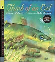 Think Of An Eel With Audio Read Listen Amp Wonder Karen Wallace Mike Bostock 9780763639945