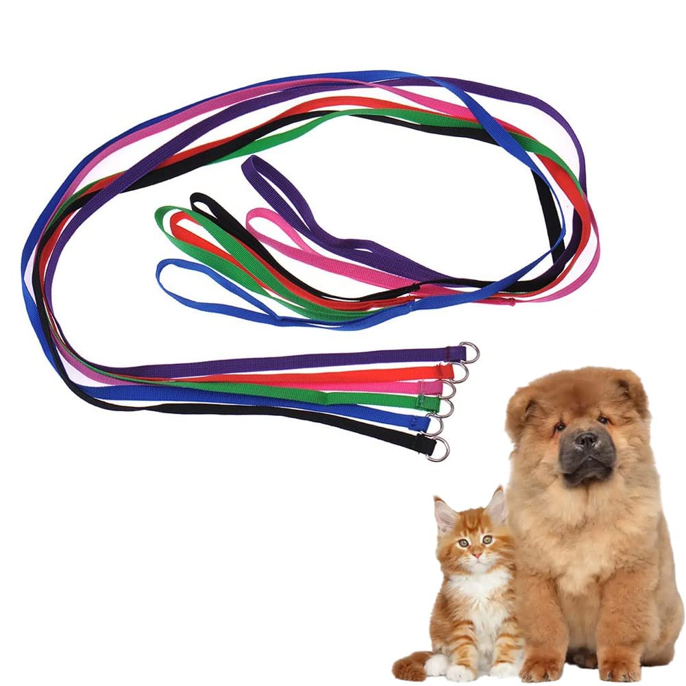 Oshide 6 Pack Animal Control Dog Kennel Vet Shelter Slip Leads Heavy Duty