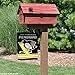 WinCraft Pittsburgh Penguins Double Sided Garden Flag