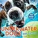 Underwater Dogs: Kids Edition