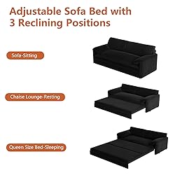 66-Inch Queen Size Convertible Sleeper Sofa