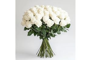 GlobalRose 50 White Roses Bouquet - Responsibly Sourced Roses Fresh Flowers - Hand-Picked Flowers Fresh Bouquet for Graduation, Anniversary, Birthday & Special Occasions (2 Bunches of 25 Stems)