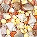 Seashells Mixed Bag of 200 Assorted Piece Bulk Pack for Home Kitchen Offices Indoors and Outdoors Wedding Baby Shower Birthday Summer Beach Nautical Theme Kids Party Favor Craft Supplies Décor
