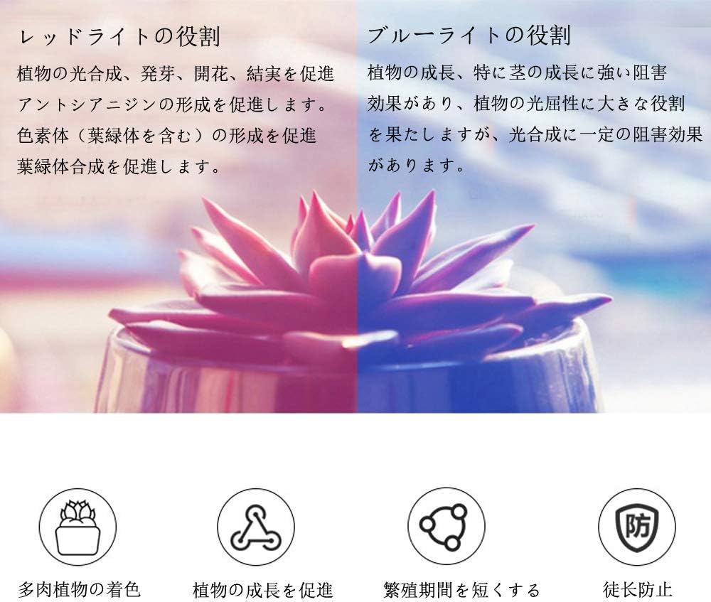 Amazon Co Jp Lapond 植物 育成 ライト Led 水耕栽培 照明ランプ フルスペクトル 1000w 1000w ホワイト Diy 工具 ガーデン