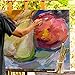 US Art Supply 3 X 5 inch Professional Artist Quality Acid Free Canvas Panel Boards for Painting 12-Pack (1 Full Case of 12 Single Canvas Board Panels)