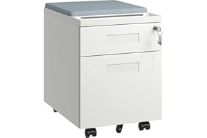 VIYET 2 Drawer Mobile File Cabinet with Removable Magnetic Cushion Seat, Rolling File Cabinet Fully Assembled Under Desk, Metal Filing Cabinet with Envelopes for Home Office (White)