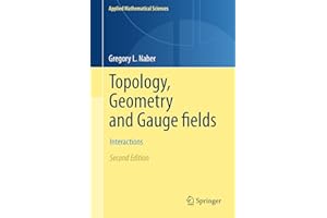 Topology, Geometry and Gauge fields: Interactions (Applied Mathematical Sciences, 141)