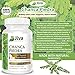 Jiva Botanicals Chanca Piedra Supplement - 550 mg per Serving - 500mg Extract with 50mg Queen of The Meadow - 2 Months Supply