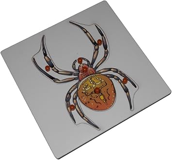 KIDO Montessori Materials - Spider Puzzle: Wooden Montessori Zoology Jigsaw Puzzle