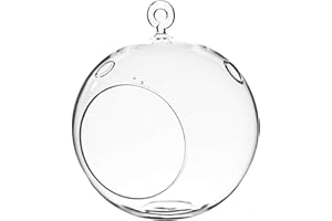 WGVI WGV Hanging Terrarium Globe, Width 6", Height 6.5", DIY Air Succulent Planter, Clear Glass Vase Orb with Flat Bottom, Candle Holder for Windowsill Outdoor Garden Decor, 1 Piece
