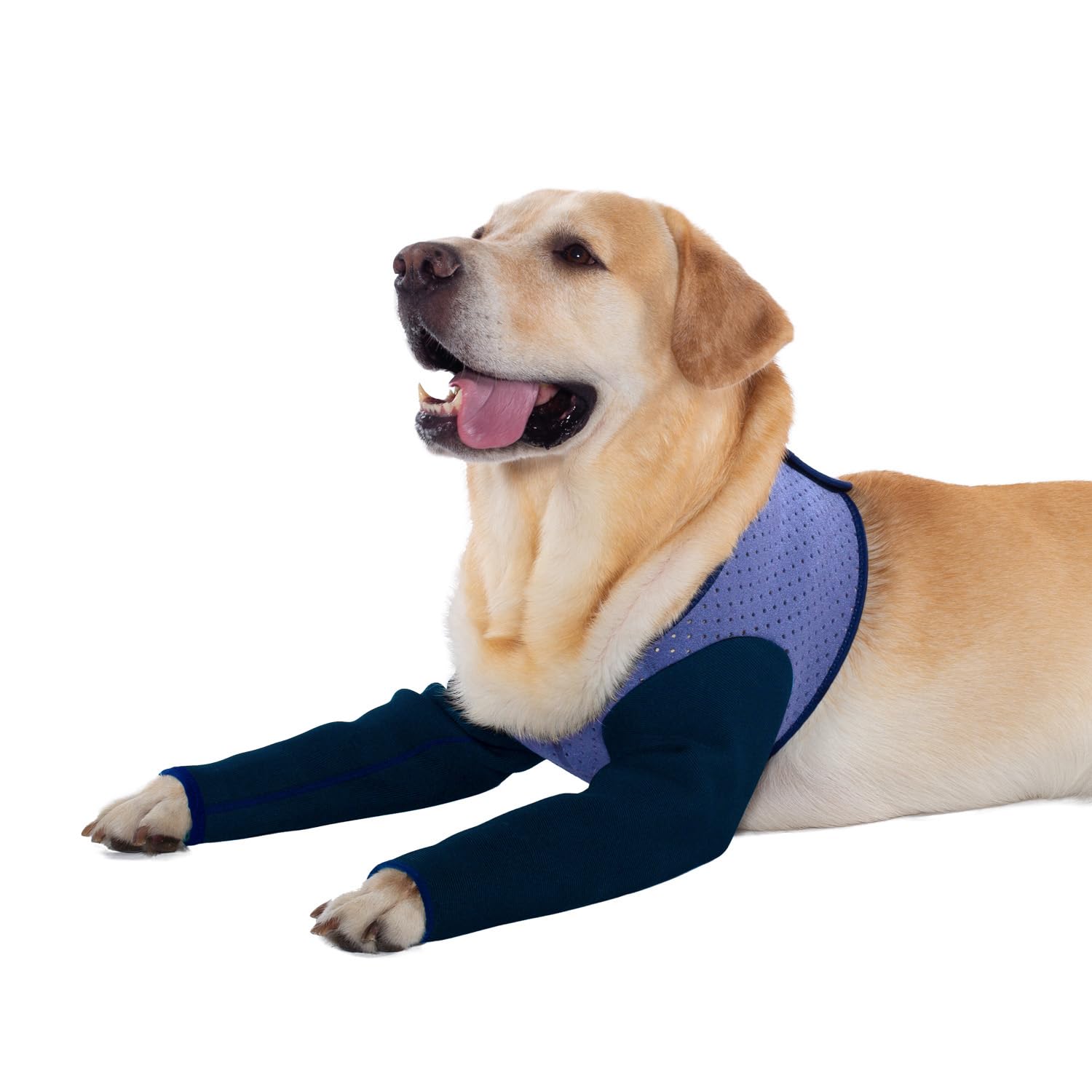 Photo 1 of Coodeo Dog Recovery Sleeves, Cone Collar Alternative, Abrasion Resistant Dog Recovery Suit, Washable 2.5mm Thick and Waterproof, Pet Wounds Prevent Licking, Bite, Keep Dry (L, Purple)