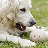 Petface Latex Onion Soft Chew Dog Toy Large view 2