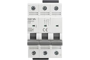 MCB 750V DC MCB 80A 100A 125A Mini Circuit Breaker Direct Current for Solar System Din Rail(125A)