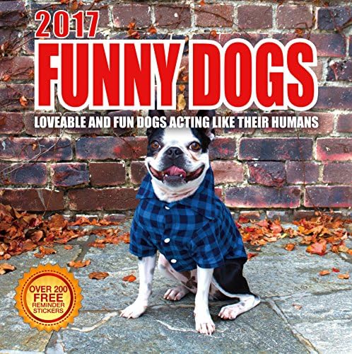 Best Wall Calendars 2017 Funny Dogs Wall Calendar with 210 Reminder Stickers, 12-Inch x 12-Inch