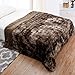 LANGRIA Luxury Super Soft Faux Fur Fleece Throw Blanket Cozy Warm Breathable Lightweight and Machine Washable Dyed Fabric for Winter – Decorative Furry Throw for Couch Bed (60x80, Twin Size Brown)