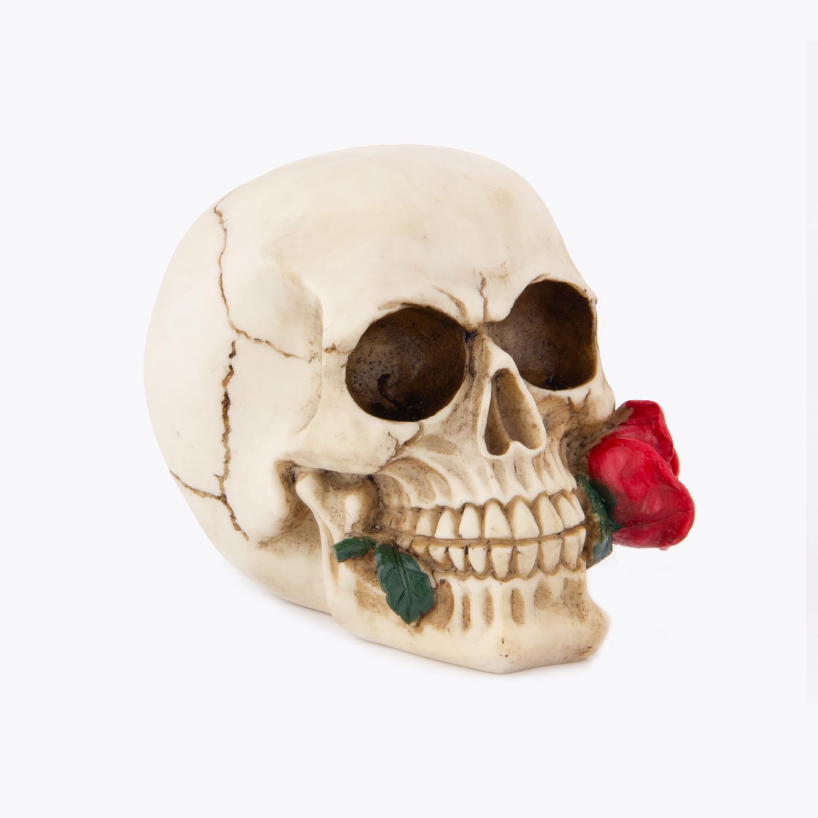 Wynameleri Realistic Skulls That Change Colours, Day Of The Dead Skull Decor Ornament, Halloween+Decorations+Indoor Skull, Halloween Party Table Decorations — image 1