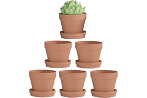 Fcacti 5.5 Inch Clay Pot for Plant with Saucer - 6 Pack Large Terra Cotta Plant Pot with Drainage Hole, Flower Pot with Tray, Terracotta Pot for Indoor Outdoor Plant