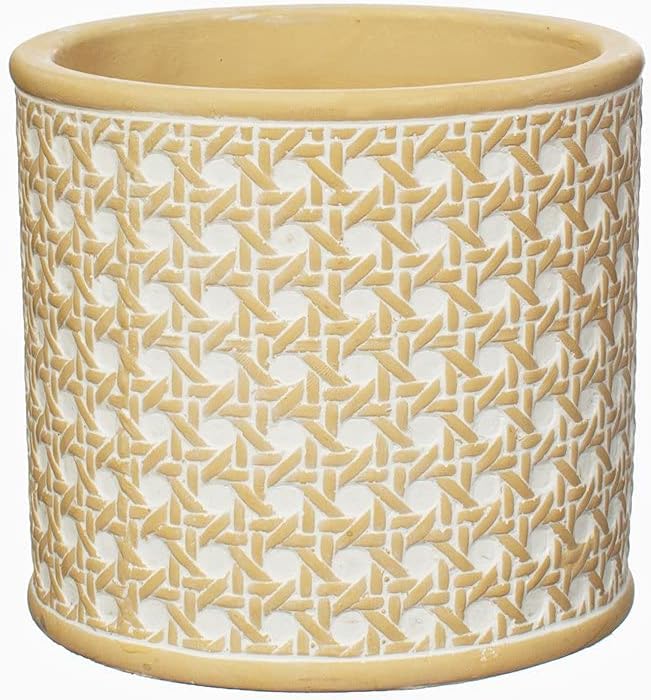 Sass & Belle Rattan Weave Concrete Planter, Beige