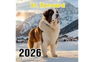 St. Bernard 2026 Calendar: Gentle giants with expressive, loving eyes