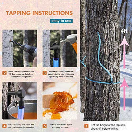 GORNORVA Maple Syrup Tree Tapping Kit, 12 Set Maple Tree Extractor Kit