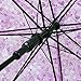 XUANLAN Transparent Cherry Blossom Bubble Dome Umbrella, Romantic Clear Semi-automatic POE Stick Umbrella for Rain and Wind (Purple Cherry)