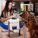 Interactive Dog Food Puzzle Toy - Treat Dispensing Dogs Slow Feeder - Indoor Boredom Stress Relief Smart Dog Game for Smart Training - Refillable Tricky IQ Feeding Game
