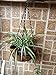 Kingbuy Black Growers Hanging Basket Planter with Chain Flower Plant Pot Home Garden Balcony Decoration-10inch (set of 2) …