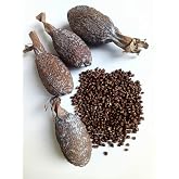 MOTHERLAND GOODS Alligator Pepper Pods African Grains of Paradise, Guinea Pepper, Famous African Spice Mbonge Spice With Citrus Notes Hepper Pepper for Cooking, Brewing Beer (6 Oz (6 Pods)