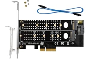 GODSHARK Dual M.2 PCIe Adapter, M.2 NVME SSD (M Key) or M.2 SATA SSD (B Key) 22110 2280 2260 2242 2230 to PCI-e 3.0 x4 Host C