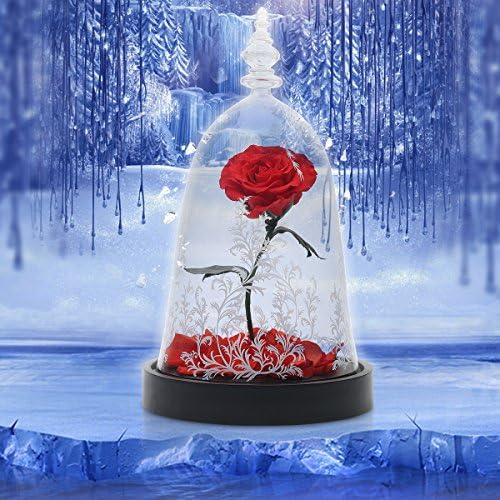 Rose Forever, Enchanted Rose, Red Rose Gift for Her with Colorful Led Light in Glass Dome on Wooden Base for Girls Wedding Anniversary Birthday as Home Decor (Gift Box Included )