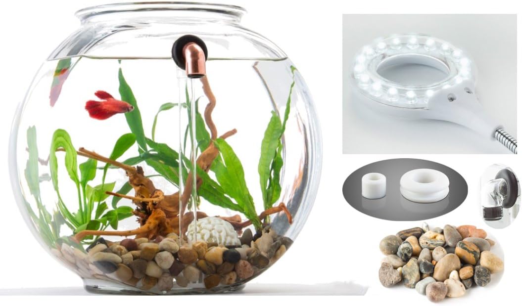 NoClean Aquariums: STARTER KIT - Eco-Friendly, Self-Cleaning, Glass Fishbowl - GravityFlow2